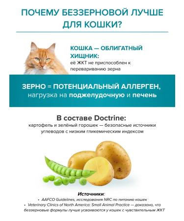 DOCTRINE Feed for sterilized cats dry 10 kg - Buy Online on GoSupps.com