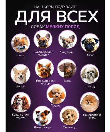 BUDDY DINNER Dry food for dogs of small breeds with beef 900 g - Buy Online on GoSupps.com