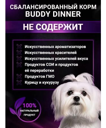BUDDY DINNER Dry food for dogs of small breeds with beef 900 g - Buy Online on GoSupps.com