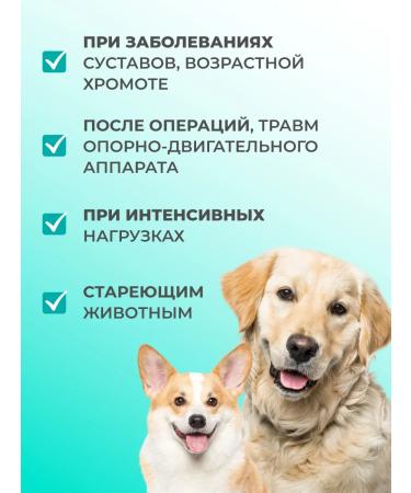 VEDA Chondroprotector for dog joints Flexavit (Flexit) 200g - Buy Online on GoSupps.com