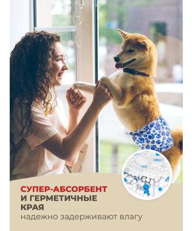 DONO Belts for dogs of male -sloping male s 10 pcs - Buy Online on GoSupps.com