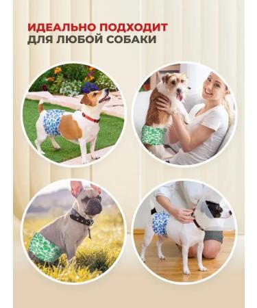 DONO Belts for dogs of male -sloping male s 10 pcs - Buy Online on GoSupps.com