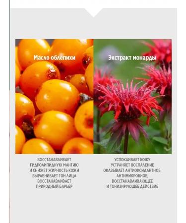 Smart Master Micellar foam for washing the face with a brush from acne - Buy Online on GoSupps.com