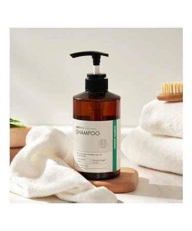 Nextbeau Shampoo for brittle hair with amino acids non - Buy Online on GoSupps.com