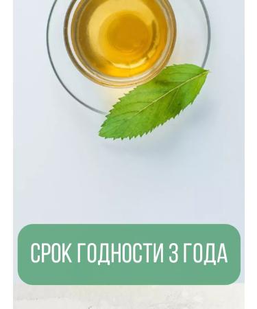 Plum Snow Green Snail 300 gr (elite Chinese) green - Buy Online on GoSupps.com