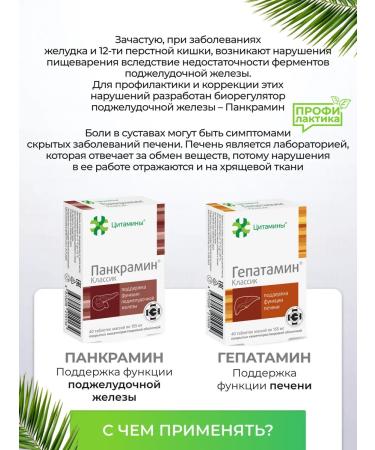 cytamins Ventraman dietary supplement for the stomach of maintaining the function of the gastrointestinal tract - Buy Online on GoSupps.com