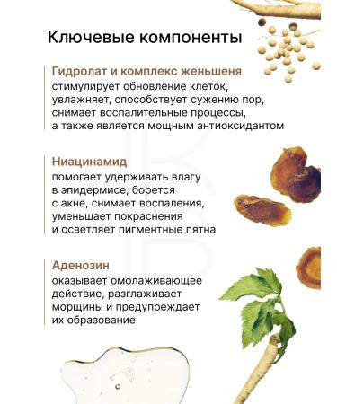 Beauty of Joseon Moisturizing face toner with niacinamide - Buy Online on GoSupps.com