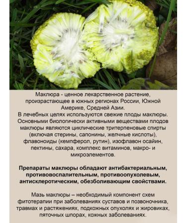 Bizoryuk Monastery ointment Maklure 50 ml - Buy Online on GoSupps.com