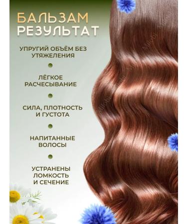 Grandma Agafia's Recipes Set of shampoo and balm 1 liter of cedar-brown - Buy Online on GoSupps.com