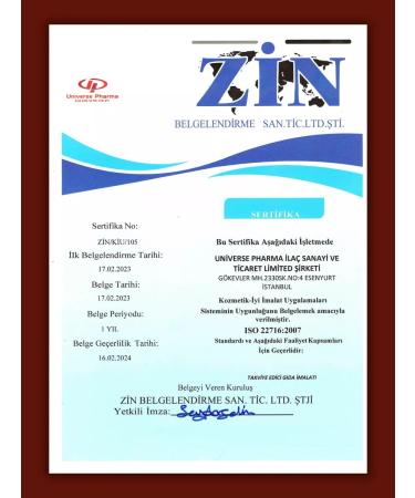 Universe Pharma The most efficient iron vitamins with additives - Buy Online on GoSupps.com