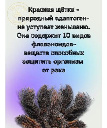 Altai Herbarium Gynecological collection with a red brush and a boro uterus - Buy Online on GoSupps.com