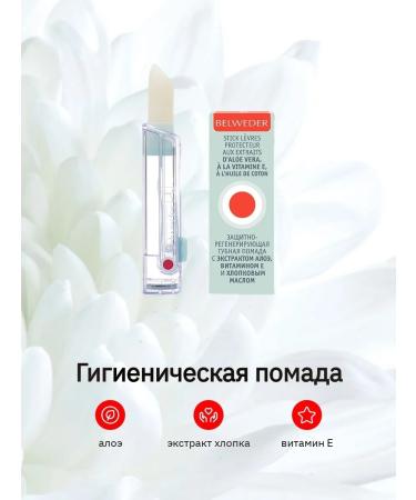 BELWEDER Protective-regulatory lipstick 4g - Buy Online on GoSupps.com
