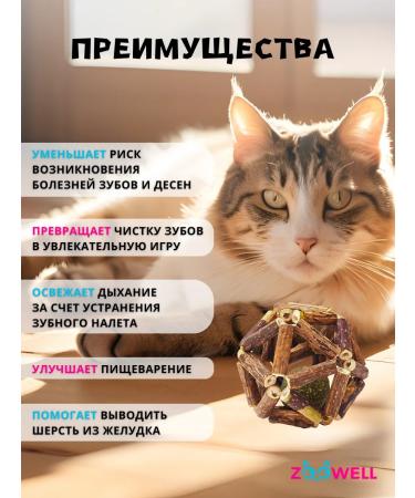 Zoowell Matatabi toy-jack - Buy Online on GoSupps.com