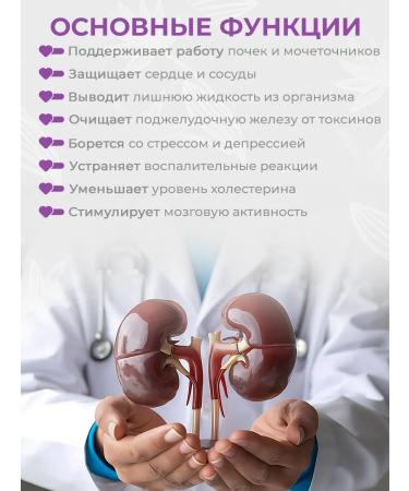 SLIM&Lite Vitamins for kidneys and elasticity of the mucous membranes - Buy Online on GoSupps.com