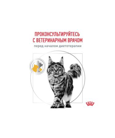 ROYAL CANIN Dry food for cats with urolithiasis 34 3.5 kg - Buy Online on GoSupps.com