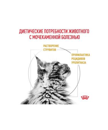 ROYAL CANIN Dry food for cats with urolithiasis 34 3.5 kg - Buy Online on GoSupps.com
