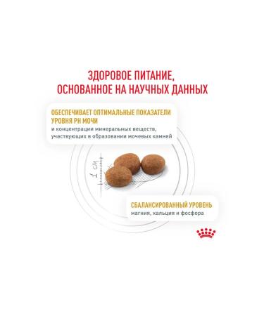 ROYAL CANIN Dry food for cats with urolithiasis 34 3.5 kg - Buy Online on GoSupps.com