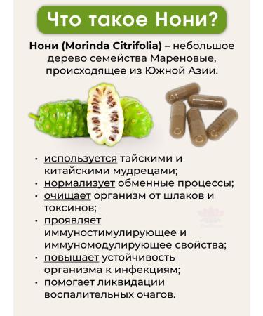 KonkaHerb Thai capsules for immunity Noni (Morinda) - Buy Online on GoSupps.com