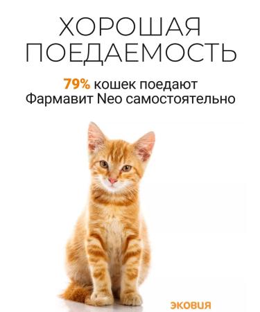 Farmavit Neo A treat for sterilized cats and castrated cats - Buy Online on GoSupps.com