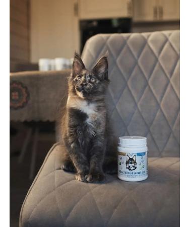 BobCatTv Vitamins for cats Additions for animals Bobcat TV complex - Buy Online on GoSupps.com