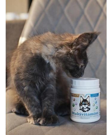 BobCatTv Vitamins for cats Additions for animals Bobcat TV complex - Buy Online on GoSupps.com