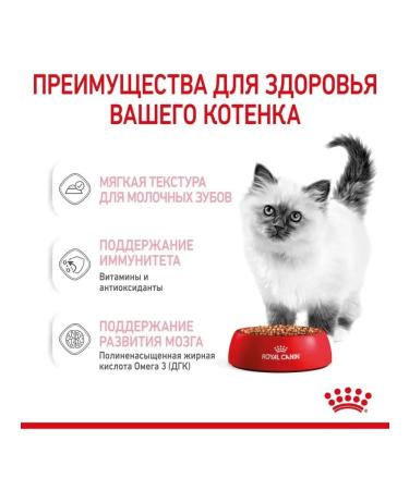 ROYAL CANIN Kitten food for kittens in sauce (85g x 28pcs) - Buy Online on GoSupps.com