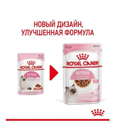 ROYAL CANIN Kitten food for kittens in sauce (85g x 28pcs) - Buy Online on GoSupps.com
