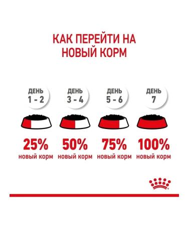 ROYAL CANIN Kitten food for kittens in sauce (85g x 28pcs) - Buy Online on GoSupps.com