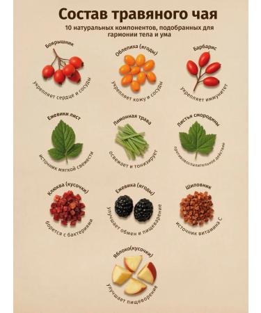 THEATASTY Sea buckthorn tea collection of herbs and sea buckthorn 200 g - Buy Online on GoSupps.com