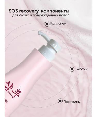 SHARY Hair air conditioner Restoration - Buy Online on GoSupps.com