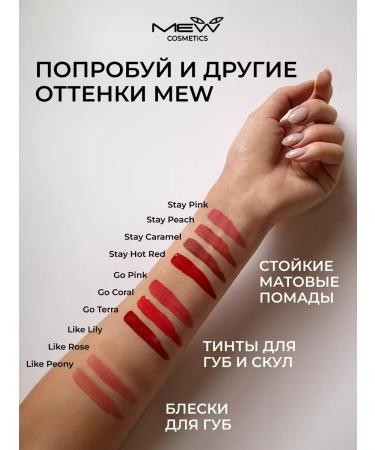 MEW Matte tint for lips and cheekbones pink lipstick - Buy Online on GoSupps.com