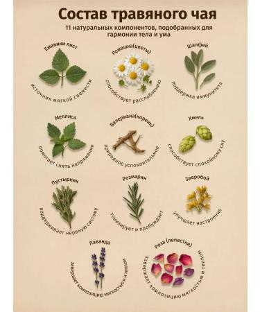 THEATASTY Herbal tea collecting chamomile and mint 200 g - Buy Online on GoSupps.com