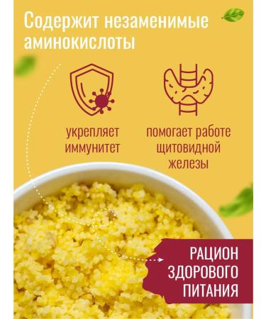 Volozhka Amber millet 2pcs at 800g - Buy Online on GoSupps.com