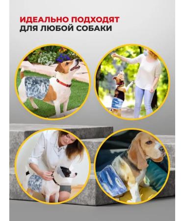 DONO Maemage for dogs of male dogs s 48 pcs - Buy Online on GoSupps.com