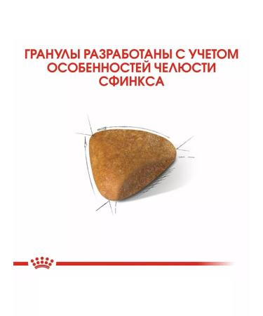 ROYAL CANIN SPhynx Adult for cats of the sphinx chicken 2kg - Buy Online on GoSupps.com