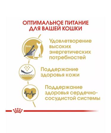 ROYAL CANIN SPhynx Adult for cats of the sphinx chicken 2kg - Buy Online on GoSupps.com