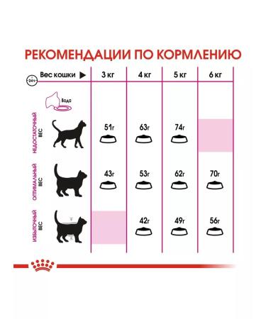 ROYAL CANIN Cat food Savour Exigent 2 kg - Buy Online on GoSupps.com