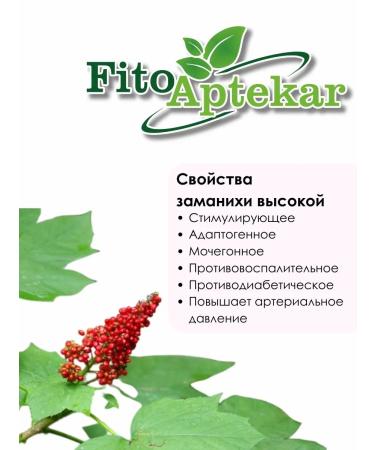 PHYTOAPTHECARIAN Lungee tincture 250 ml - Buy Online on GoSupps.com