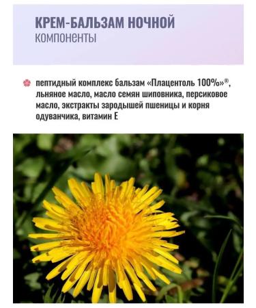 Placental Night face cream anti -aging intensive nutrition - Buy Online on GoSupps.com