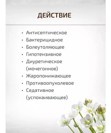 Sage Biazor swamp grass shifting - Buy Online on GoSupps.com