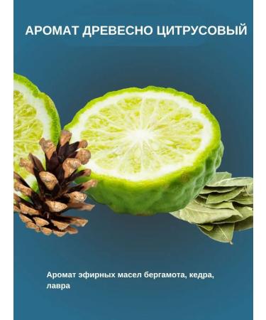 BARBARO Firm shampoo and mustache - Buy Online on GoSupps.com