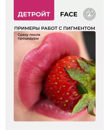 Face Company Face Pigment Detroit for a permanent tattoo tattoo lip face - Buy Online on GoSupps.com