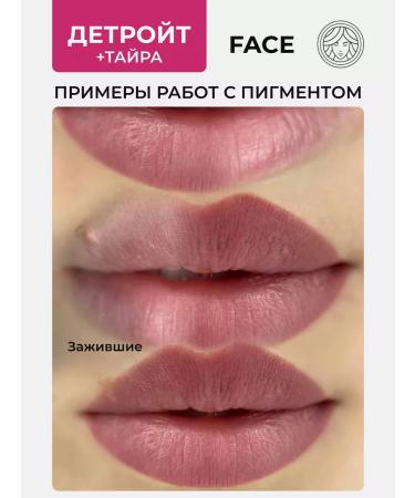 Face Company Face Pigment Detroit for a permanent tattoo tattoo lip face - Buy Online on GoSupps.com