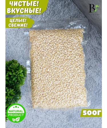 YUMMY Cedarly pine nuts - Buy Online on GoSupps.com