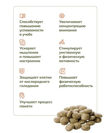 ALTIN SOLOK Herbal collection Nootropfit for the brain - Buy Online on GoSupps.com