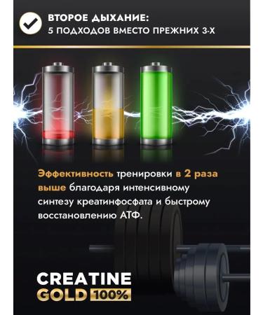 DER BAUM IST GOLDEN Creatine monohydrate powder - Buy Online on GoSupps.com