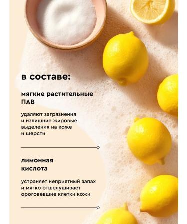 Pamilee Shampoo for dogs and cats hypoallergenic 1 liter - Buy Online on GoSupps.com