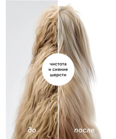 Pamilee Shampoo for dogs and cats hypoallergenic 1 liter - Buy Online on GoSupps.com