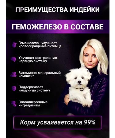 BUDDY DINNER Dry food for dogs of small breeds with a turkey 7 kg - Buy Online on GoSupps.com