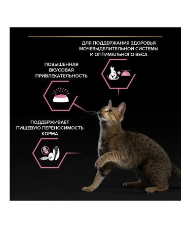 PRO PLAN Feed for sterilized cats gastrointestinal problems chicken 10 kg - Buy Online on GoSupps.com